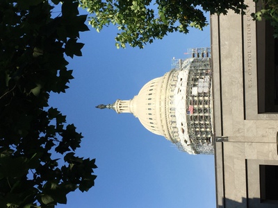 Image that was identified